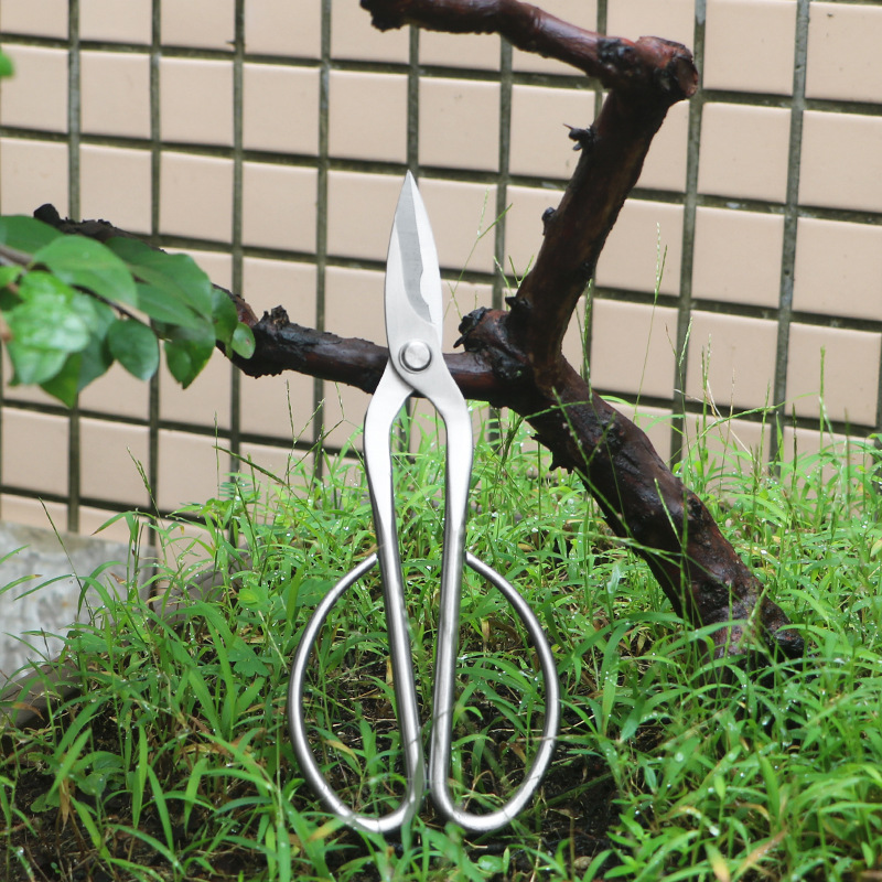 Concave Branch Cutter - オールスチール製の園芸用鋏、葉、芽、花用鋏、家庭用花盆栽鋏、葉、葉芽鋏
