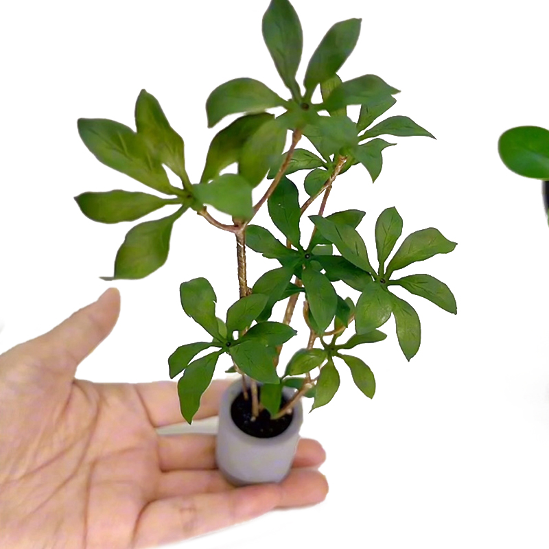ドールハウスミニチュア鉢植えモデル、緑の葉、植木鉢、盆栽、家 - Bonsai Garden Ornaments のレビューと価格