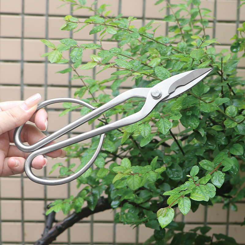 オールスチール製の園芸用鋏、葉、芽、花用鋏、家庭用花盆栽鋏、 - Concave Branch Cutter のレビューと価格