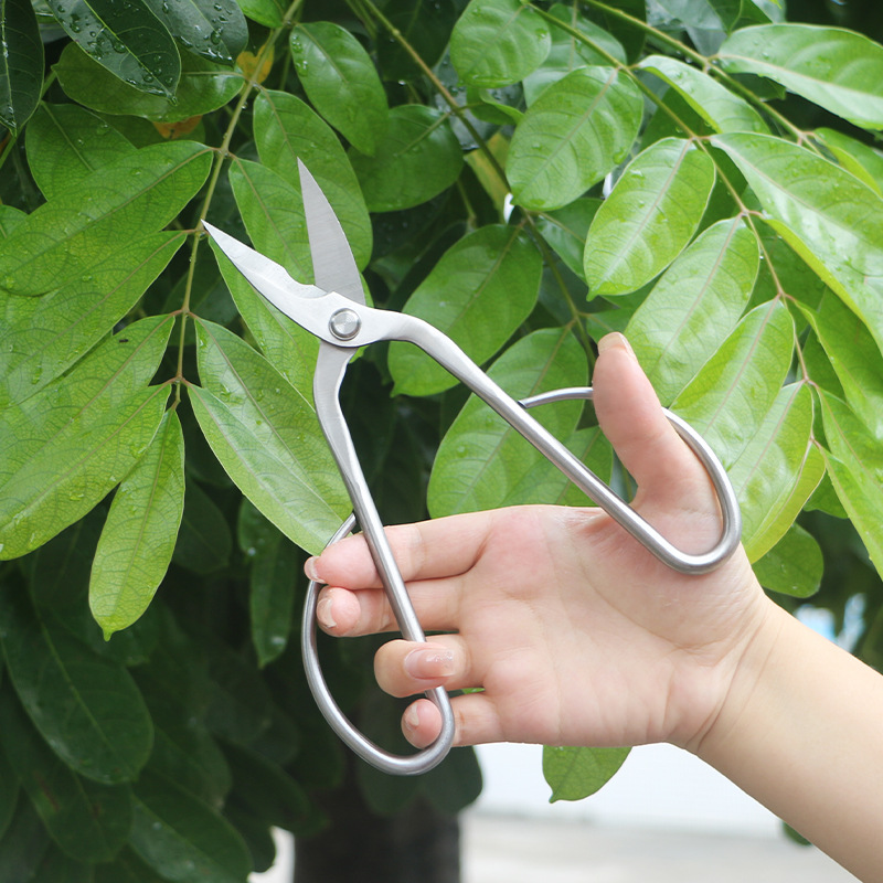 オールスチール製の園芸用鋏、葉、芽、花用鋏、家庭用花盆栽鋏、 - Concave Branch Cutter のレビューと価格