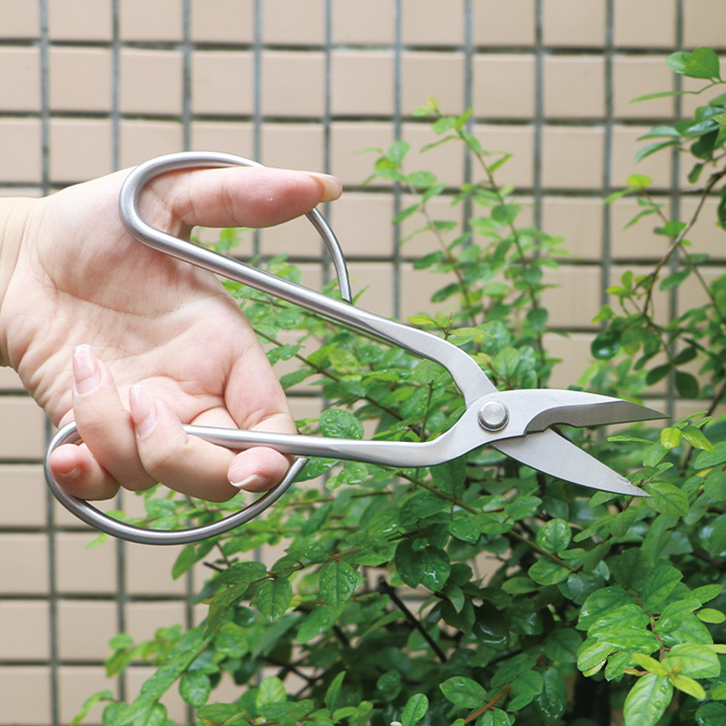 オールスチール製の園芸用鋏、葉、芽、花用鋏、家庭用花盆栽鋏、 - Concave Branch Cutter のレビューと価格