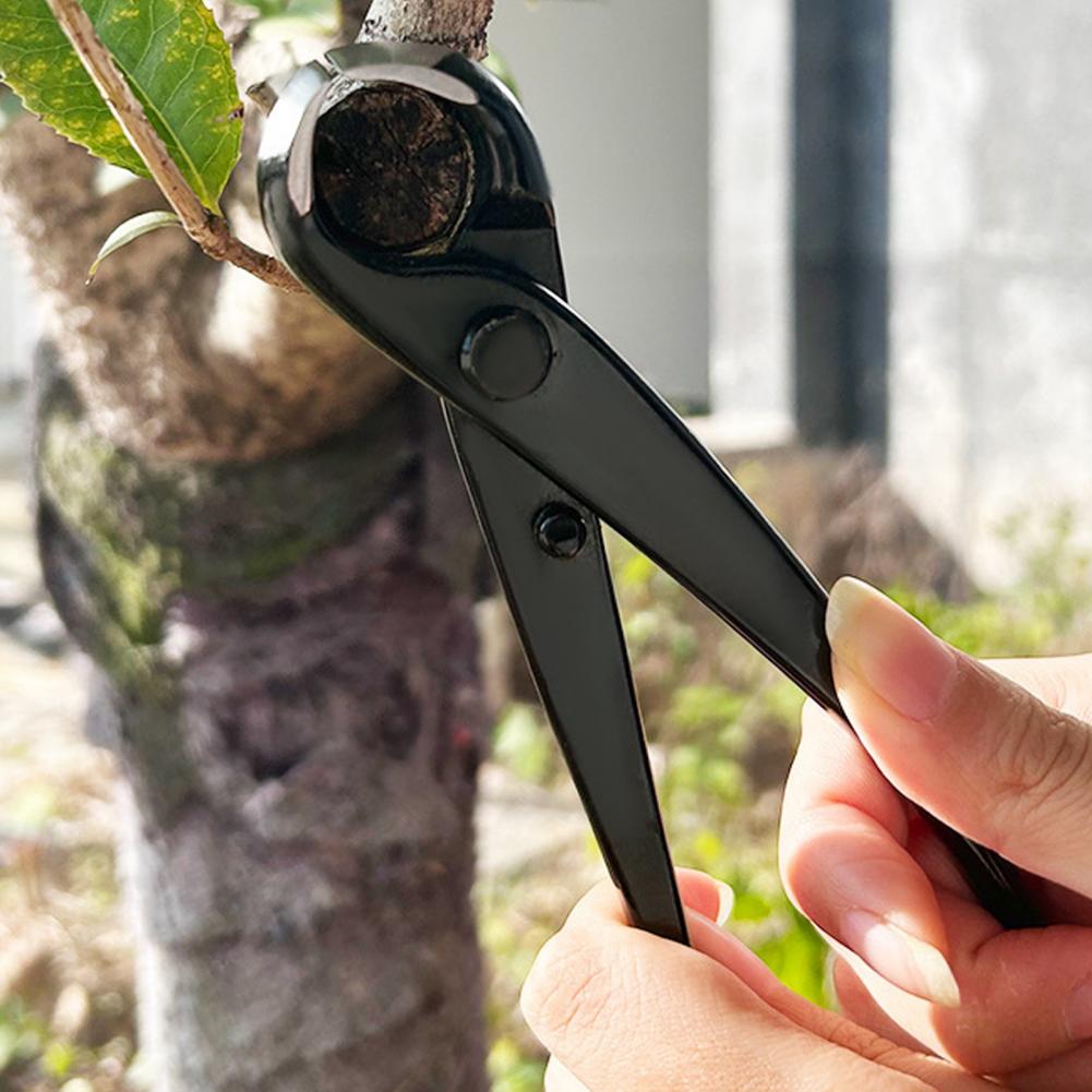 盆栽凹枝カッター マンガン鋼製ヘビーデューティー盆栽クリッパ - Concave Branch Cutter のレビューと価格