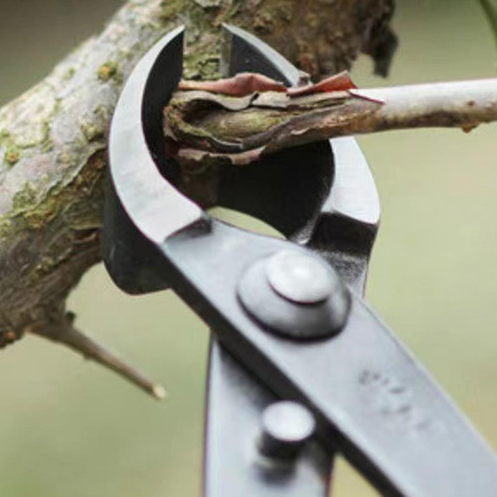 盆栽凹枝カッター マンガン鋼製ヘビーデューティー盆栽クリッパ - Concave Branch Cutter のレビューと価格