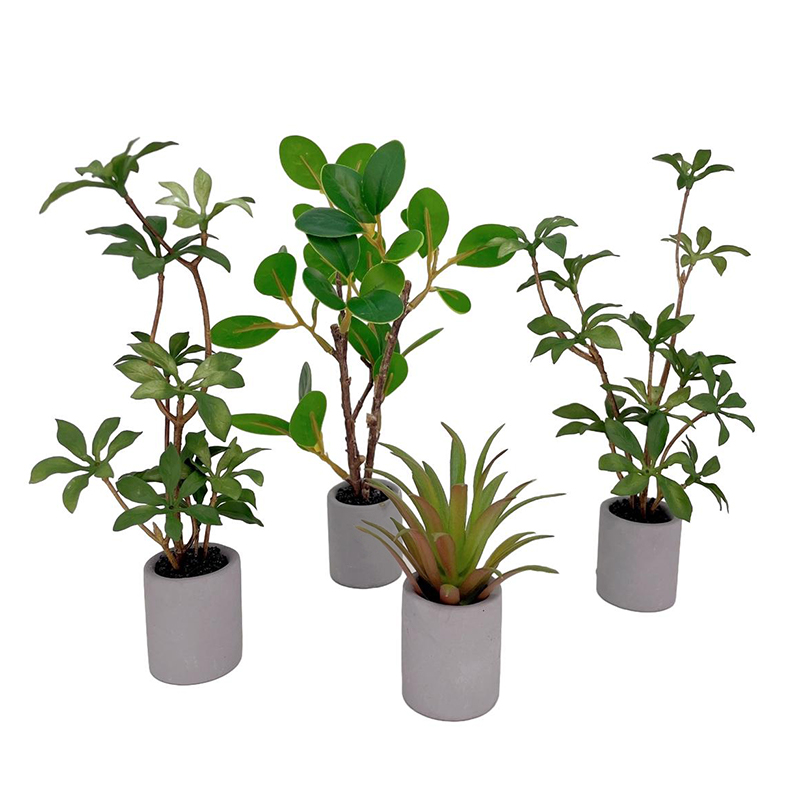 ドールハウスミニチュア鉢植え、緑の葉のポット、盆栽、家の庭の - Bonsai Garden Ornaments のレビューと価格