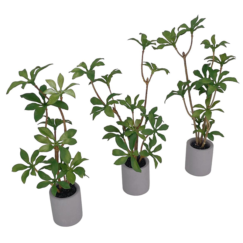 ドールハウスミニチュア鉢植え、緑の葉のポット、盆栽、家の庭の - Bonsai Garden Ornaments のレビューと価格