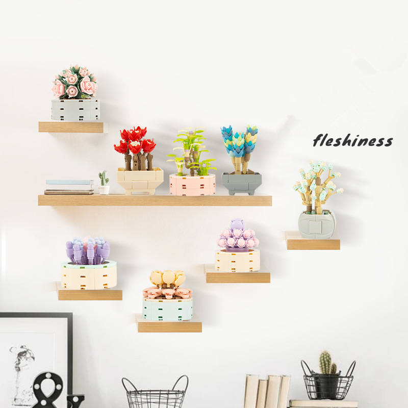 DIY moc-多肉植物,サボテン,gypsophila,盆 - Bonsai Garden Experts のレビューと価格
