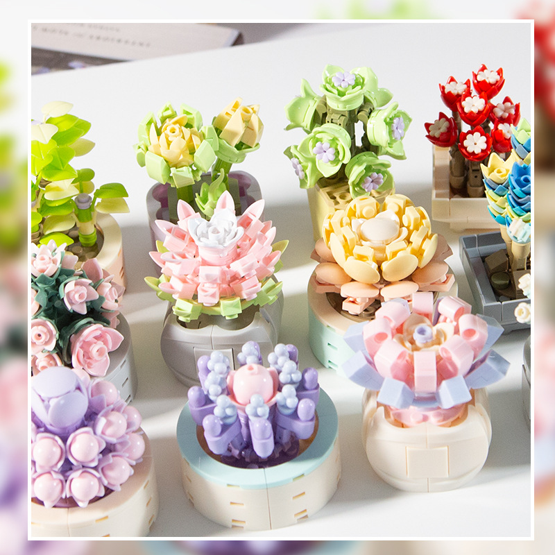 DIY moc-多肉植物,サボテン,gypsophila,盆 - Bonsai Garden Experts のレビューと価格