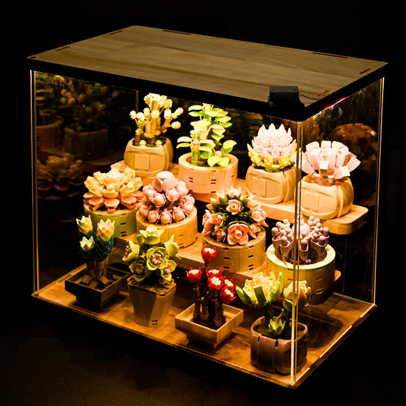 DIY moc-多肉植物,サボテン,gypsophila,盆 - Bonsai Garden Experts のレビューと価格