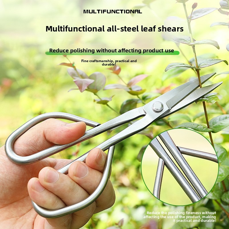 柔らかい葉用ハサミ 盆栽道具 枝切りハサミ 延長ステンレス鋼 - Concave Branch Cutter のレビューと価格