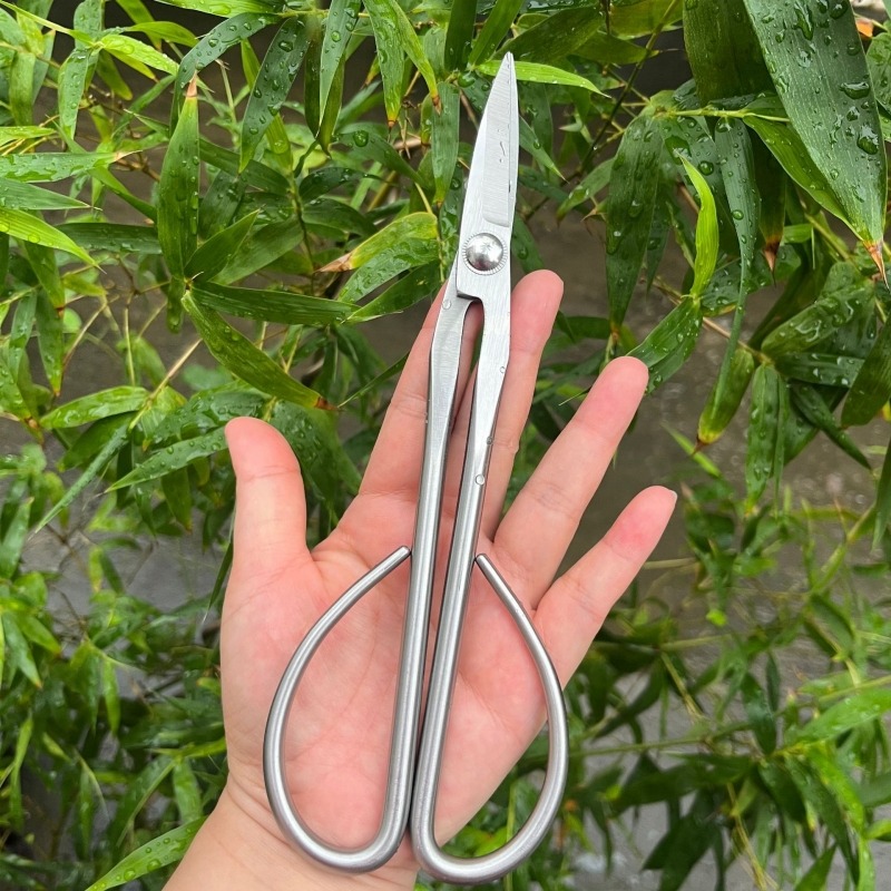 柔らかい葉用ハサミ 盆栽道具 枝切りハサミ 延長ステンレス鋼 - Concave Branch Cutter のレビューと価格